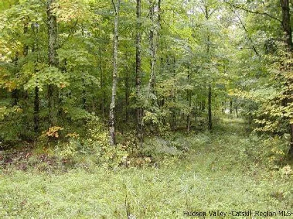 tbd N Chodikee Lake, Highland, NY 12528