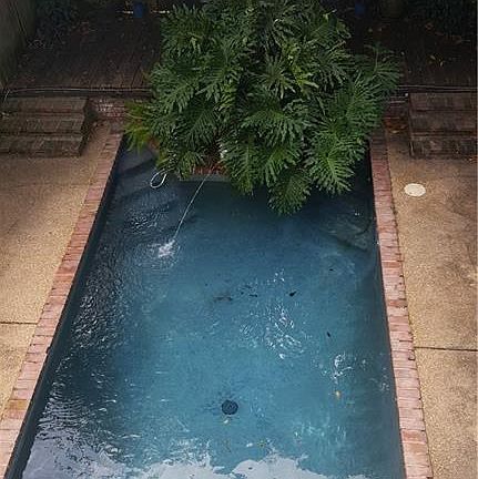 5th image of 824/26 Elysian Fields Ave