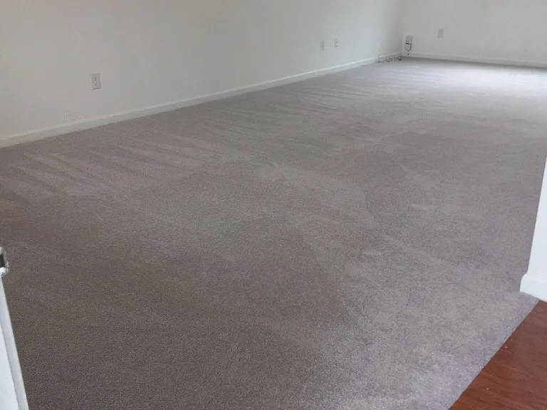 3903 Shepway Loop — Photo 14