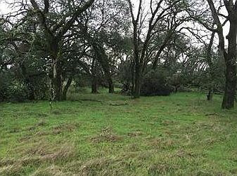 5th image of Cox Ln