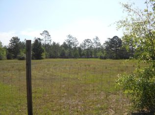 10122 Silver Lake Rd, Fountain, FL 32438