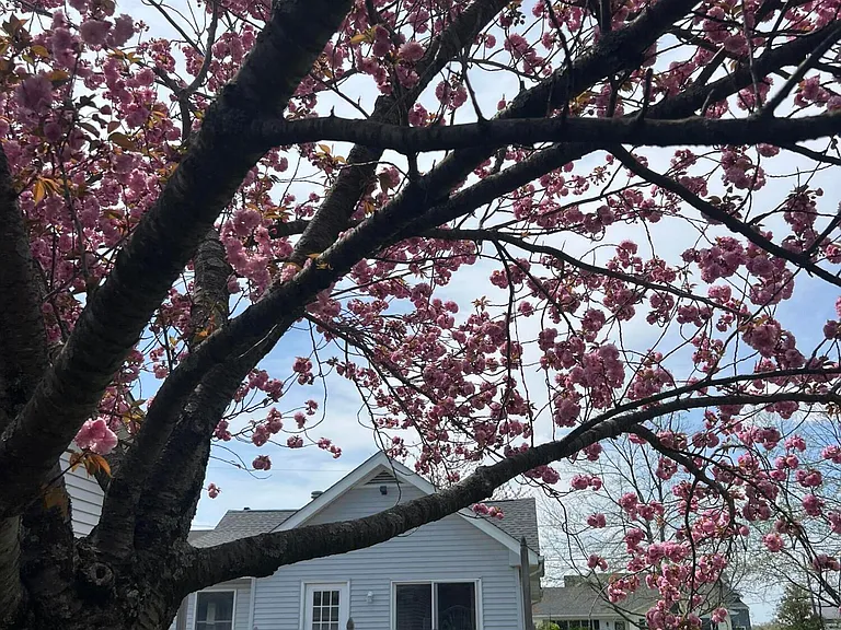 465 Adrian Ave — Photo 13