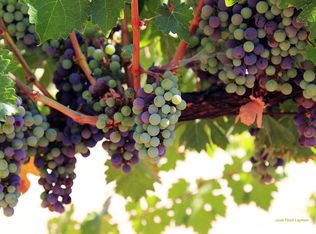 11666 Old Spruce Grove Rd, Lower Lake, CA 95457