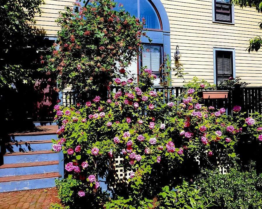 71 Abbottsford Rd #HOUSE