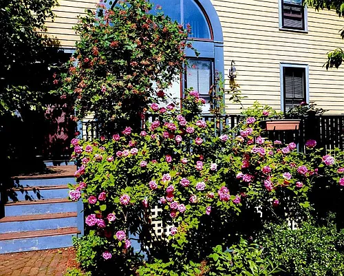 71 Abbottsford Rd #HOUSE Photo 1