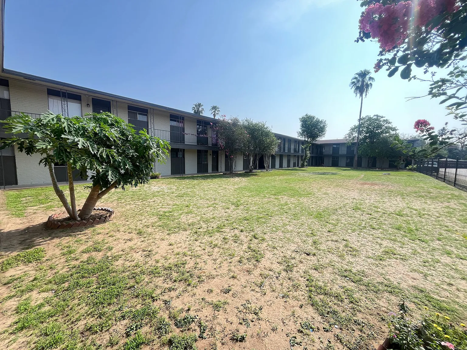 Retama Apartments — Photo 4