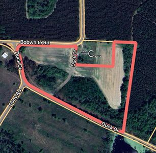 251 Duck Dr, Alma, GA, 31510