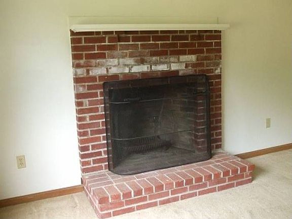 Wood-burning fireplace