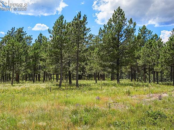 3rd image of 325 Pine Oaks Rd