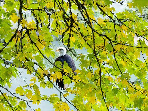 4th image of 1709 Falcon Heights Rd