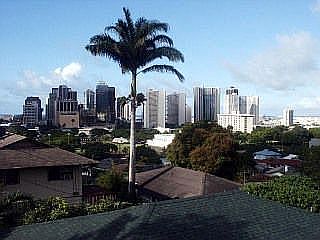 View from deck