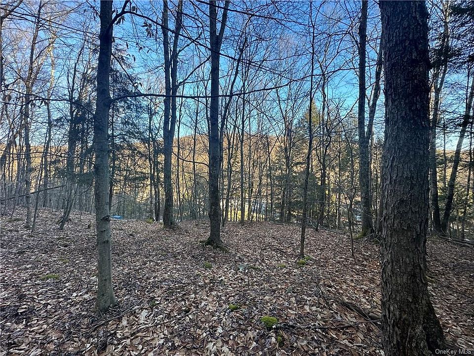 203 Grooville Road, Livingston Manor, NY 12758 Zillow