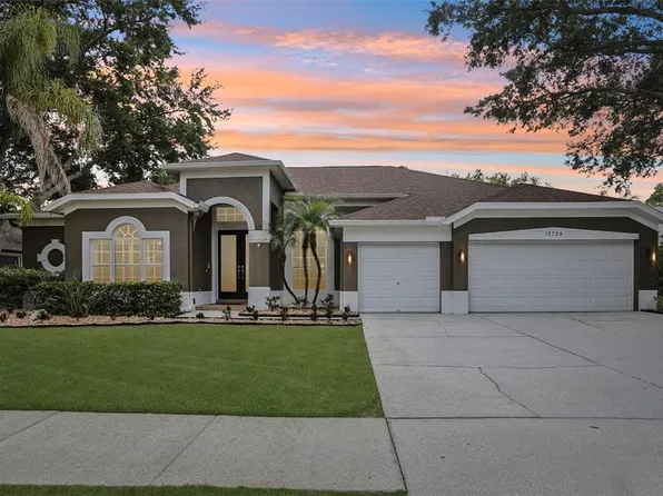15720 Berea Dr, Odessa, FL 33556