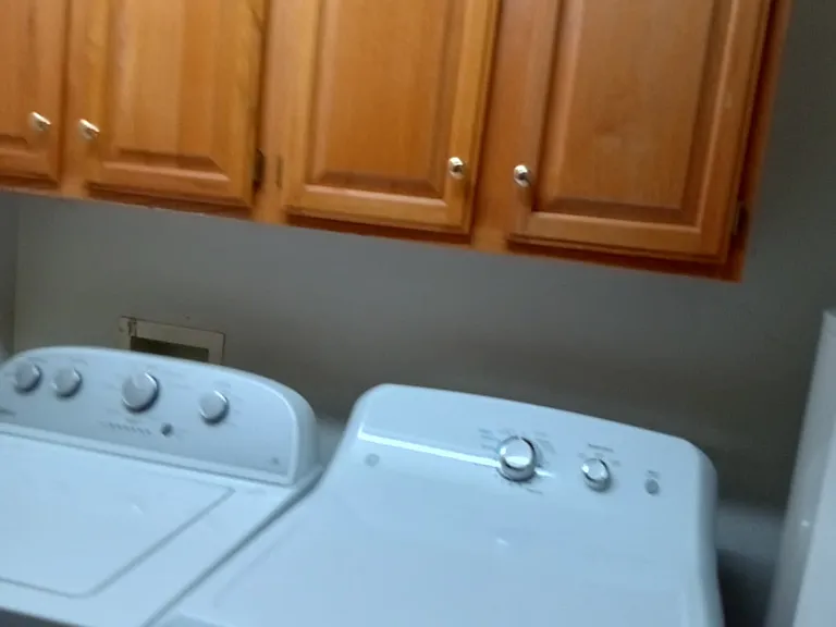 265 Bronze Leaf Dr — Photo 13