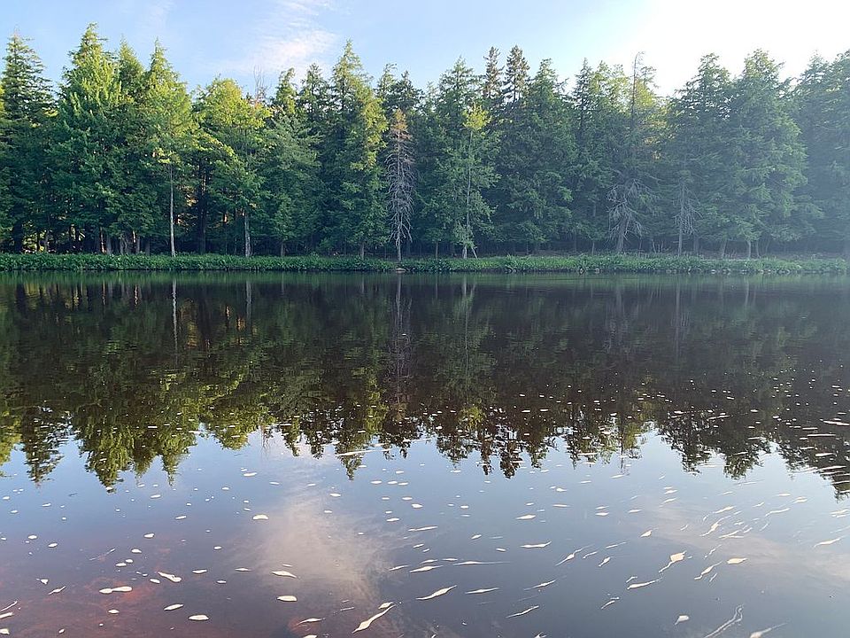 73 Page Dr, Parishville, NY 13672 Zillow