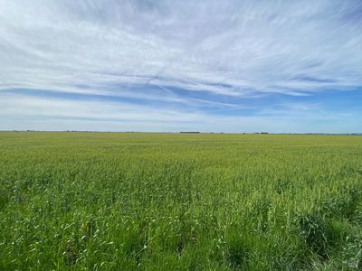 0 Bulkley Road, Dixon, CA, 95620