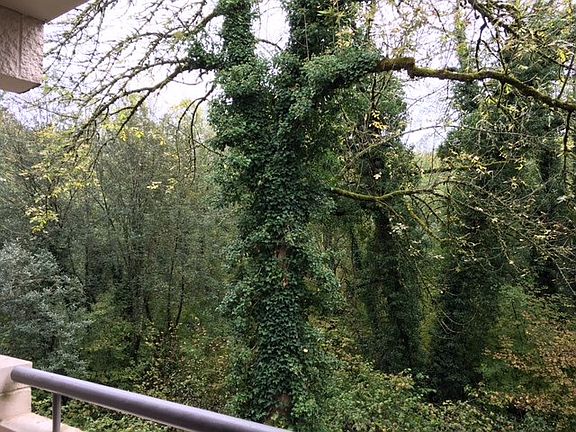 porch view