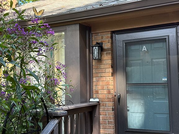 See the butterfly? Welcome to life in a wildlife habitat. This would be your porch, and your view though 10' tall purple flowers, butterflies, bumble bees, and birds.