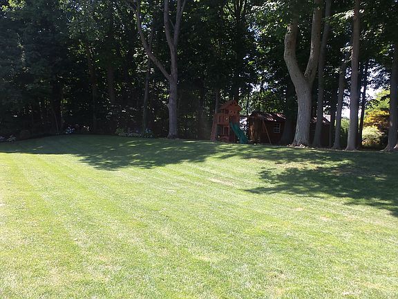Large backyard