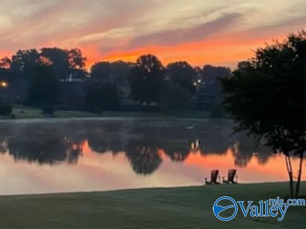 198 River Walk Trl, New Market, AL 35761