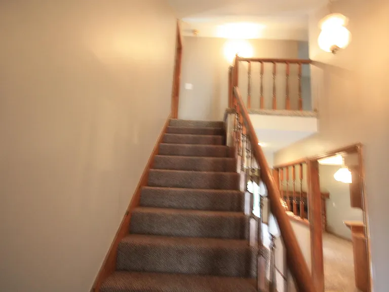 11808 Caenen St — Photo 11