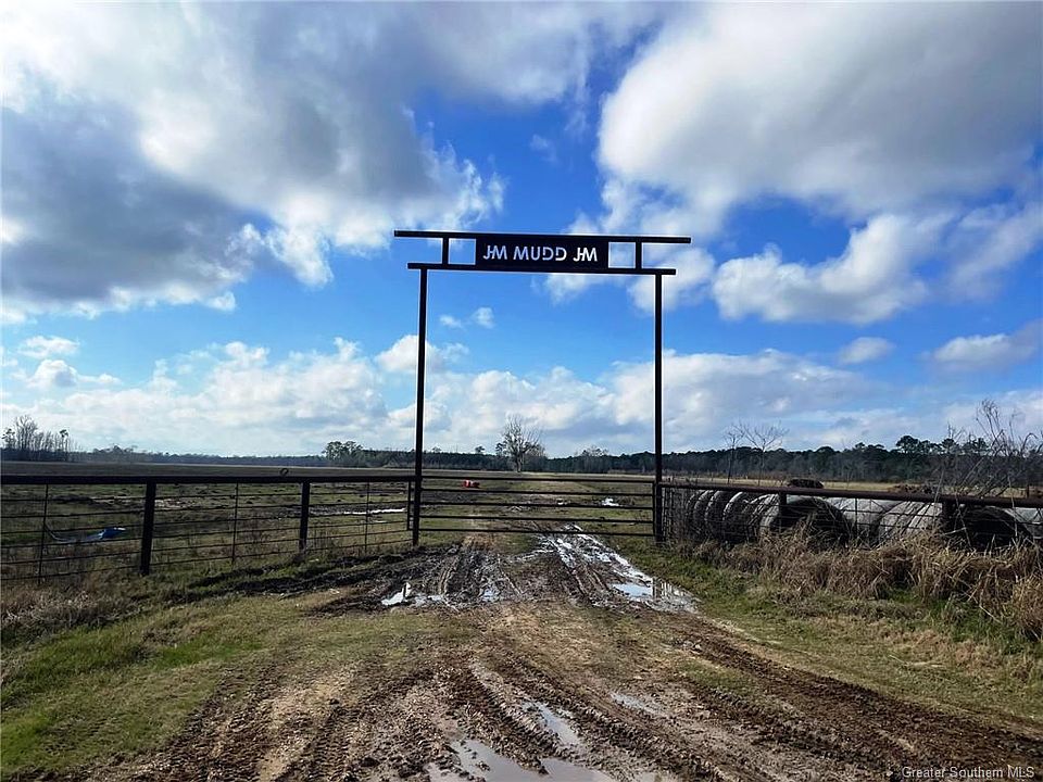 Basile La Tire Shop at Christopher Clarke blog