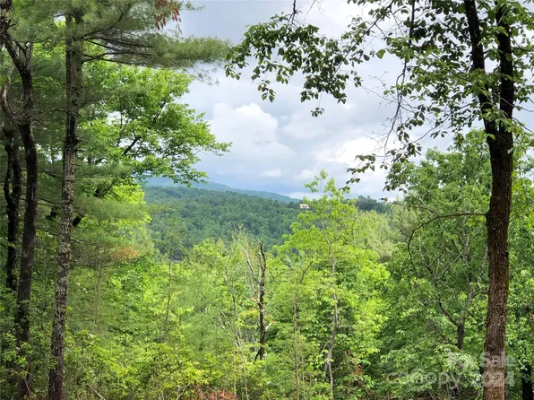 Deer Antler Dr #80, Purlear, NC 28665