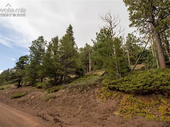 2797 Moir Dr, Fort Garland, CO 81133