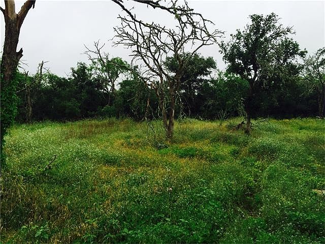 A good sized clearing for the front yard