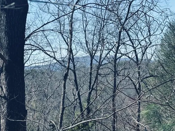 63 Bice Ln, Blue Ridge, GA 30513