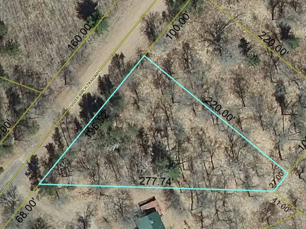 59 Silver Birch Trl, Danbury, WI 54830