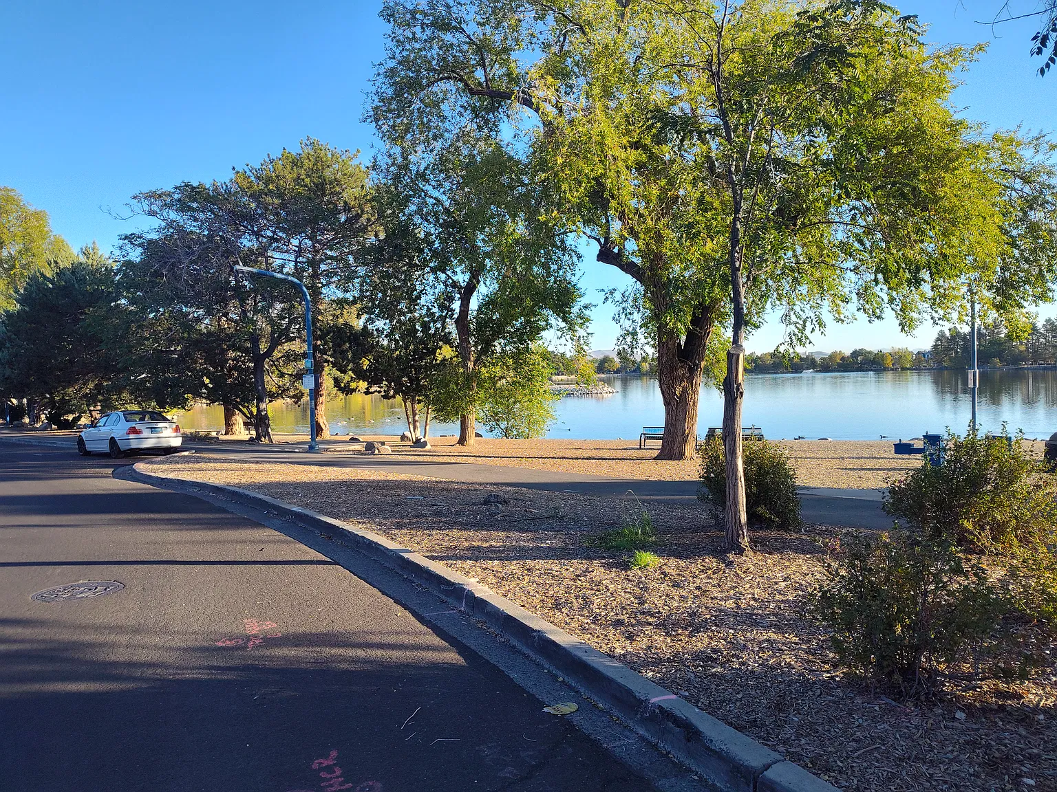 1 bed, 583 sqft, $1,500 — Photo 3