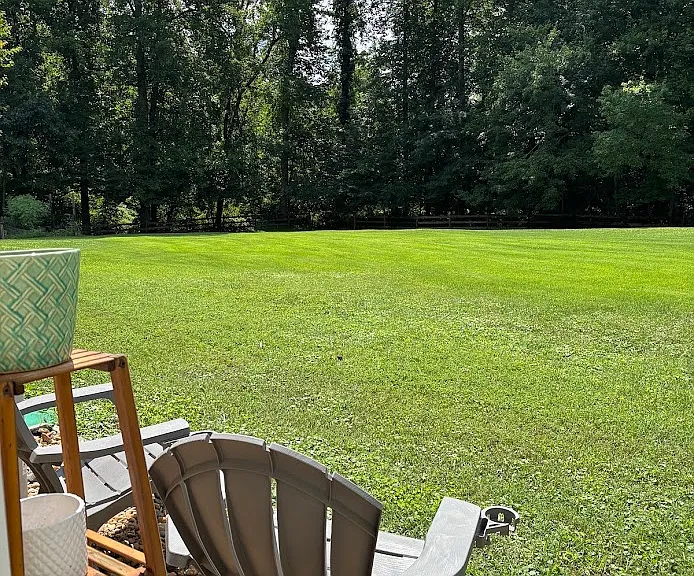 Have a seat and watch the deer