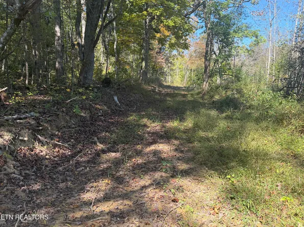 Mount Helen Rd, Allardt, TN 38504