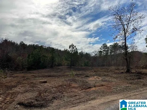 LOT 1 Mountainside Dr #1, West Blocton, AL 35184
