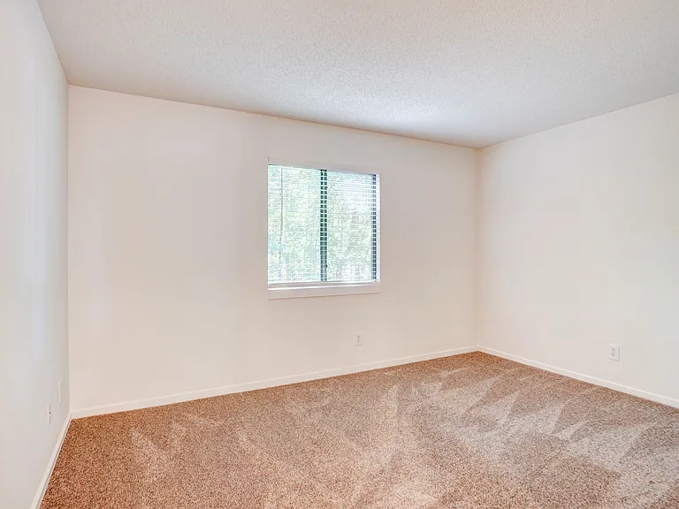 Bedroom with lots of Natural Light