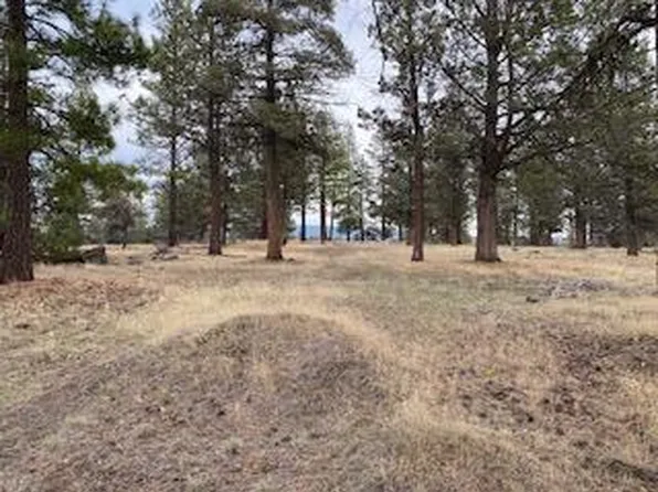 0 Widgeon Ln, Bonanza, OR 97623