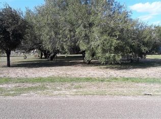 1404 Daisy Ridge Ln, Palmview, TX 78574