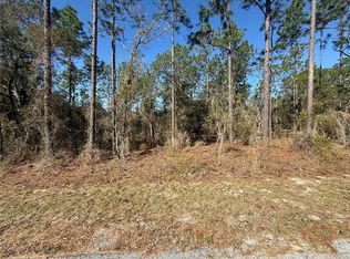 LOT 13 SE 129th Ct Lot 13, Dunnellon, FL 34431