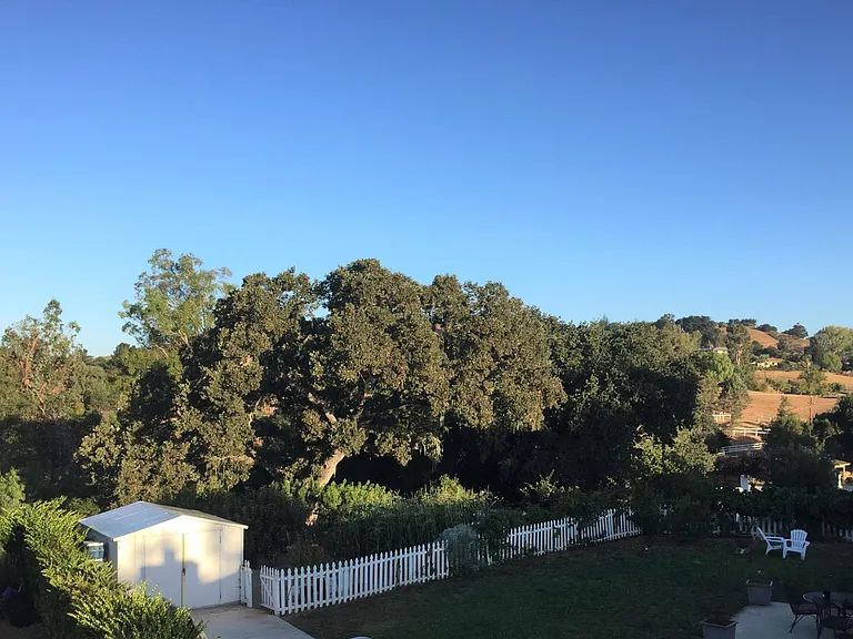 View from Kitchen