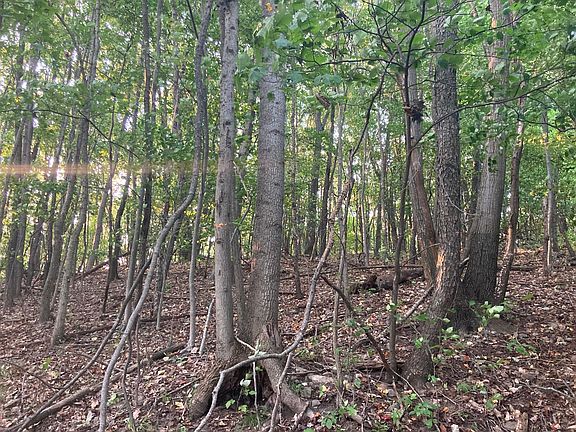 3rd image of 57448 County Road 5 Lot Wp 002