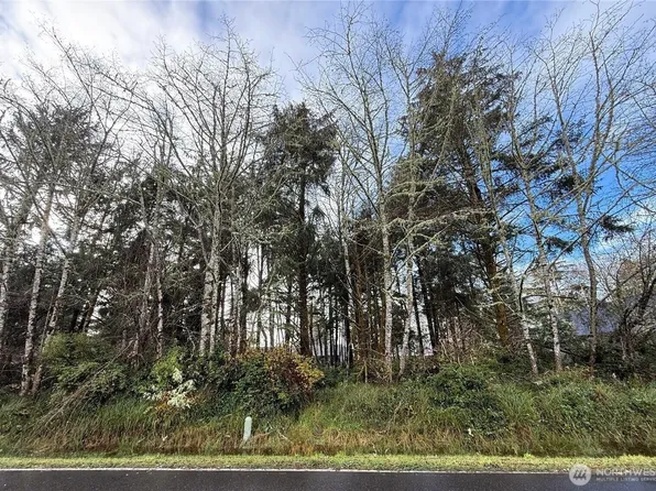 399 NE Duck Lake Drive, Ocean Shores, WA 98569