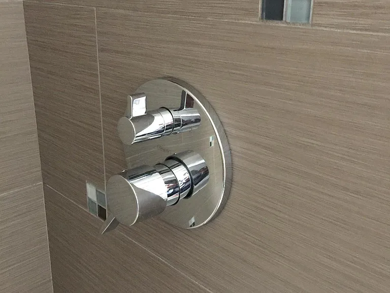 Hall bath tub/shower. High-end Grohe fixture