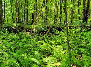 2482 Buck Hill Rd, Westfield, VT 05874