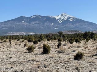 1043 Forest Service 9129a Rd, Flagstaff, AZ 86001
