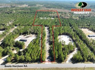 1046 Boots Harrison Rd, Hortense, GA 31543