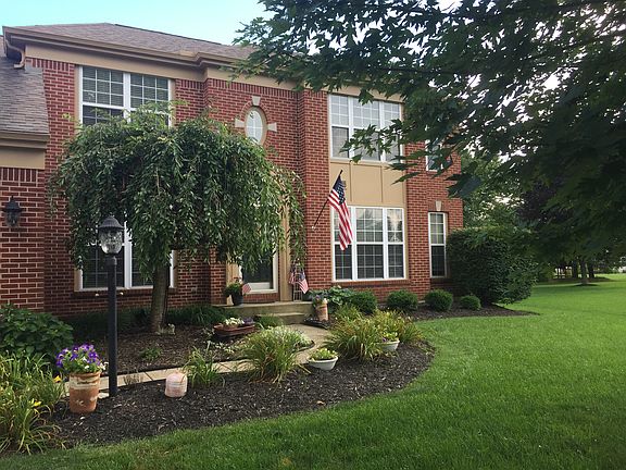 5th image of 10031 Pebblestone Dr