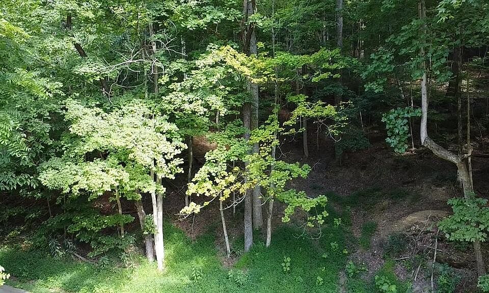 1st image of 0 Coon Hollow Rd