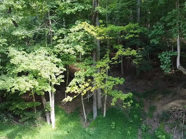 0 Coon Hollow Rd, Lucasville, OH 45648