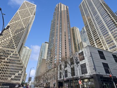 401 E Ontario St APT 1606, Chicago, IL, 60611